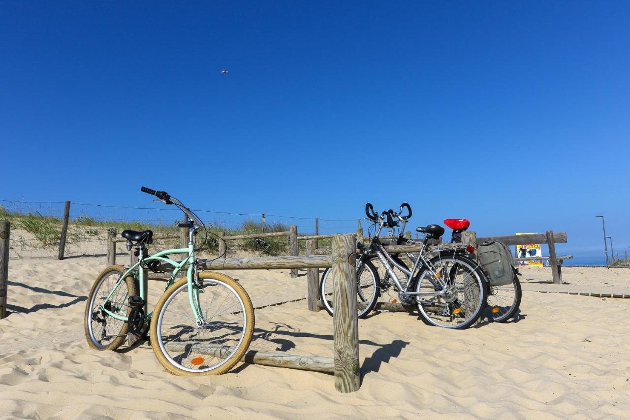 Le Hameau Des Vagues 4-5 Pers Piscines Et Nature A Moliets Luaran gambar